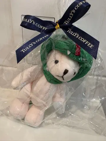 Tully's coffee 2025 HAPPY BAG 십이지신 테디