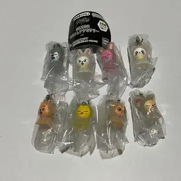 skzoo 메지루시 액세서리 컴플리트