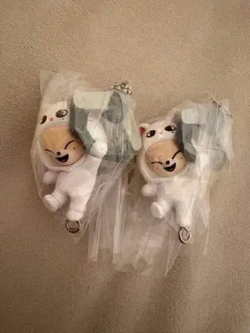 skzoo 쥠으로 이어지는 마스코트 폭시니 아이엔 카니칸 폴