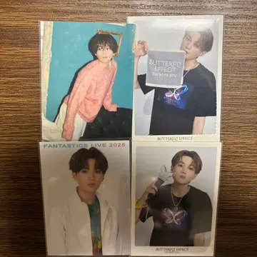 야기 유세이 4장 세트