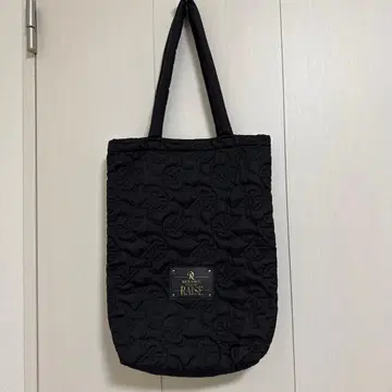 Raise 도모토 코이치 투어 굿즈 토트