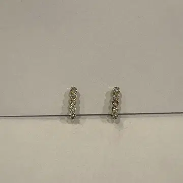 woje 귀찌 Eve 골드