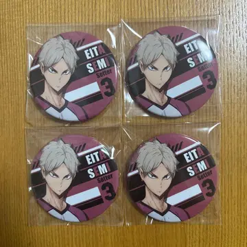 세미 에이타 캔뱃지 세트