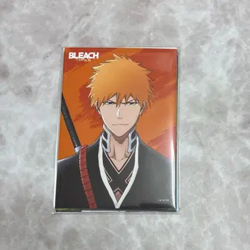 BLEACH 생 브로마이드