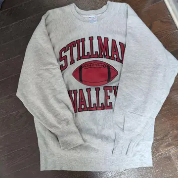 Champion Reverse Weave Stillman Valley