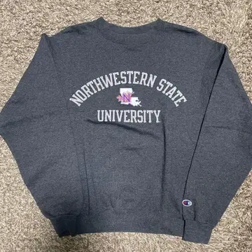 챔피온 칼리지 노스이스턴 스테이트 대학 아메카지 그레이