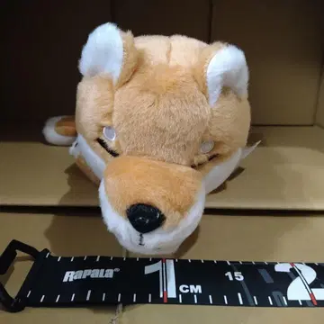 zoozoozoo 느긋한 잠 BIG 봉제 인형 개 시바견