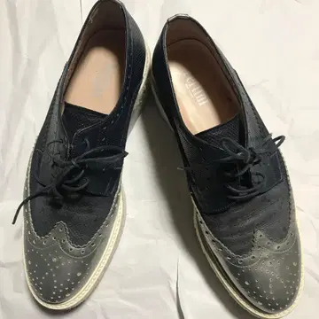 퍼티니 네이비 실버 옥스퍼드 슈즈