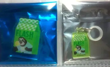 플래시 주토피아2 오마이카페 메지루시 참 마그넷