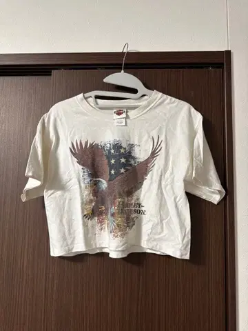 Harley-Davidson 이글 디자인 T셔츠 M