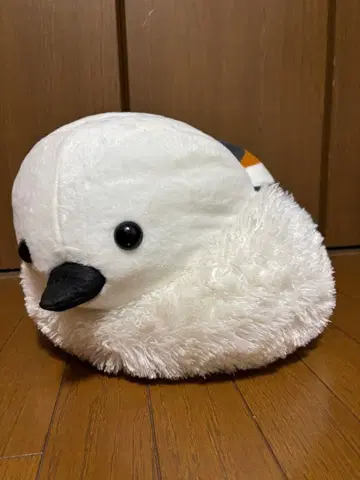 후쿠시마 마에나가 BIG