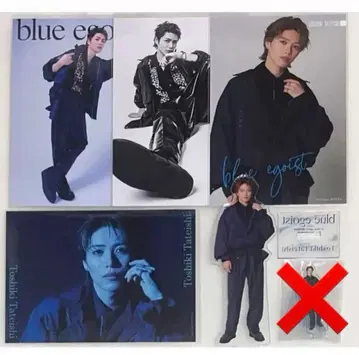 타테이시 토시키 blueegoist 묶음 판매