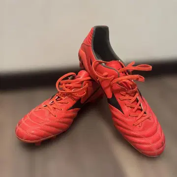 미즈노 모나르시다 네오 스파이크