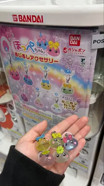 홋페짱 메지루시 액세서리 5개 세트