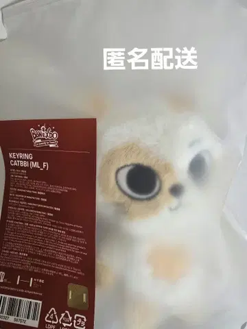 BOYNEXTDOOR 케피 키링 푸넥도