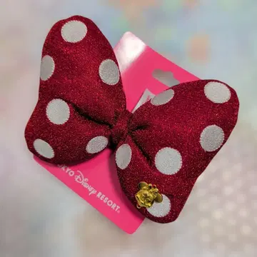 디즈니랜드 미니 헤어 포니