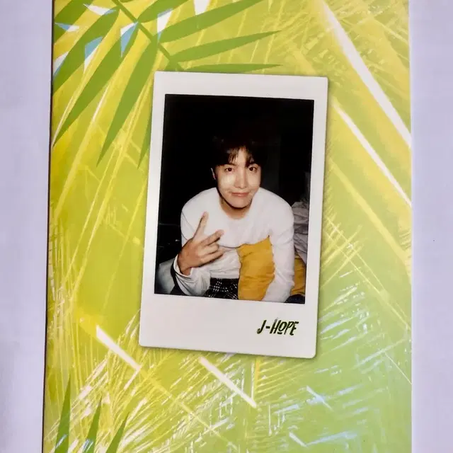 방탄 썸패 뷔 태형 제이홉 호비 bts Summer package V