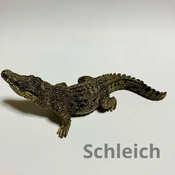 슐라이히 악어