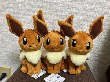 포켓몬 다정다감 이브이! 택 포함 새상품! 3개 세트