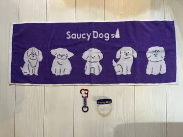 Saucy Dog 타월 & 러버 밴드