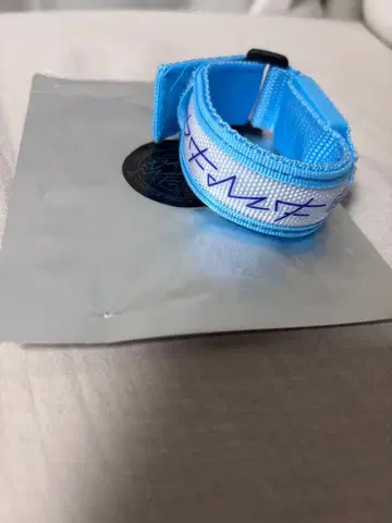 RIP SLYME 립슬라임 DFMF2025 블레스라이트 그린