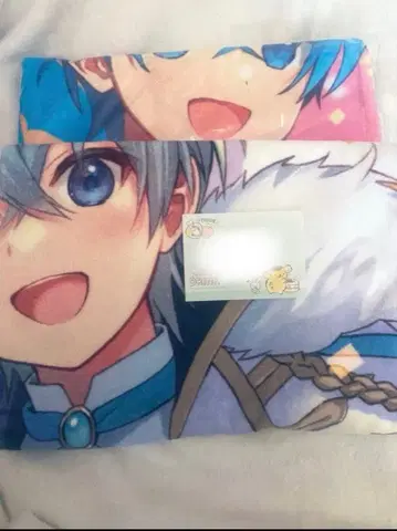 스토푸리 코론 씨 픽처 타월