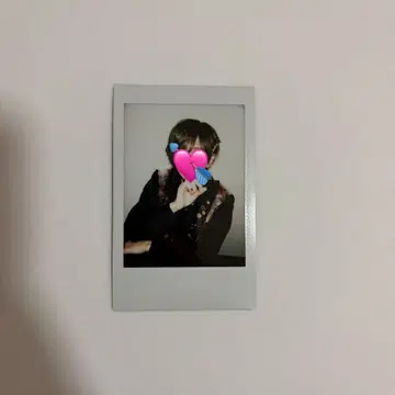 러브시크 사쿠라 폴라로이드