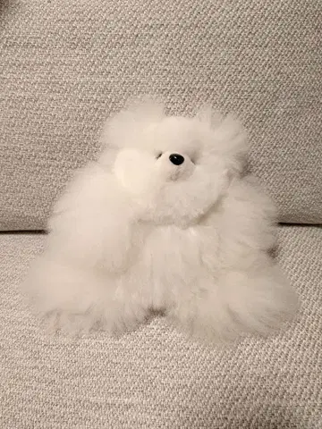 스튜디오 클립 알파카 화이트 곰 곰 봉제 인형