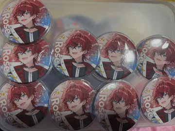 메테오라 로제 군스트페스 비쥬 캔뱃지 9개 세트