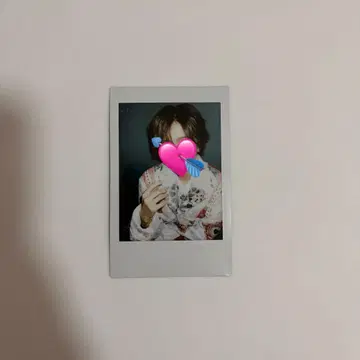 러브시크 사쿠라 폴라로이드