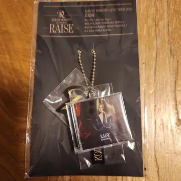 도모토 코이치 KOICHI DOMOTO RAISE CD풍 키링