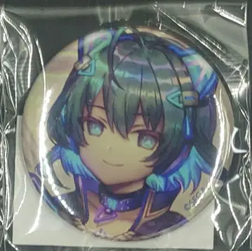 (단품) 츄니즘 온라인 복권 F상 캔뱃지 나이