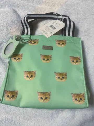 폴앤조이 백 그린