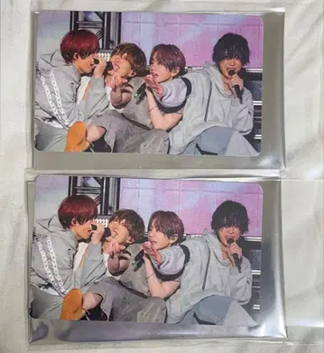 우라시마사카타센 미니 사진 카드 WARN12G