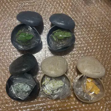 생물대도감 어드밴스 청개구리 02 전 5종류 세트