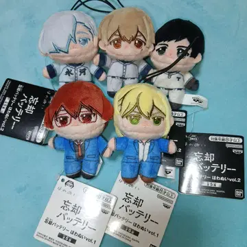 망각 배터리 호와누이 5체 세트