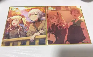 프로세카 52b 색지 텐마 사키 히노모리 시호 텐마 츠카사