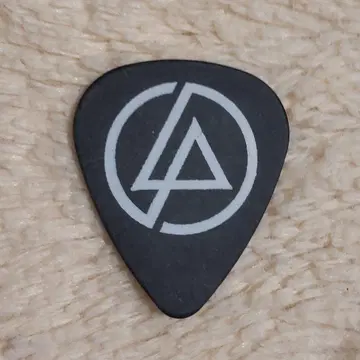 LINKIN PARK 투어 피크