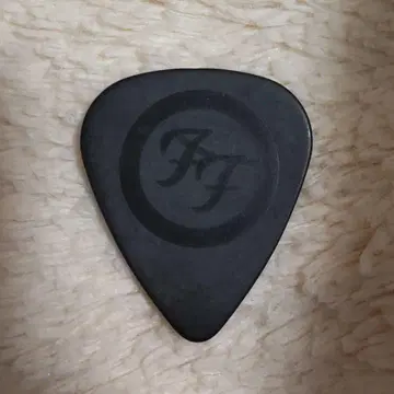 FOO FIGHTERS 투어 피크