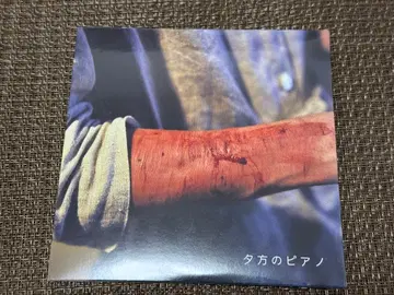 저녁의 피아노 신성 카맛테짱