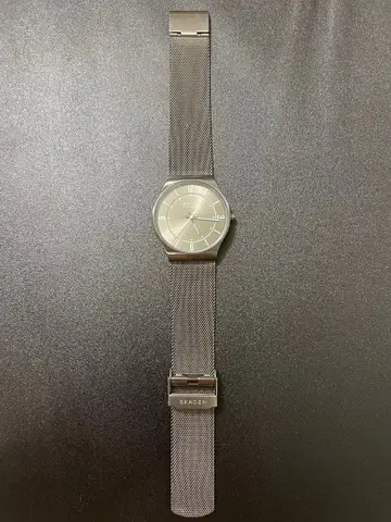 SKAGEN DENMARK 실버 메쉬 시계