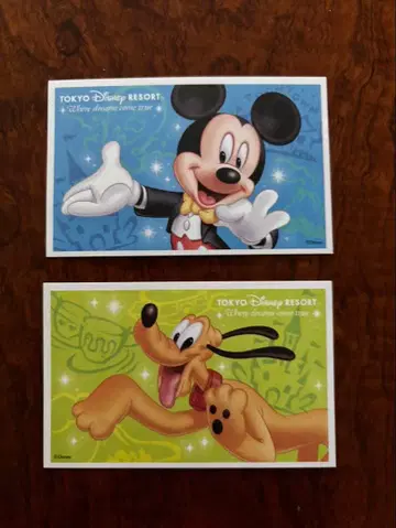 도쿄 디즈니 리조트 티켓