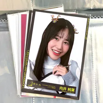 사쿠라자카46 무카이 이토하 브로마이드 묶음 판매