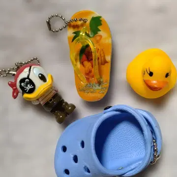 해적 캐릭터와 오리 스트랩 등 총 4점