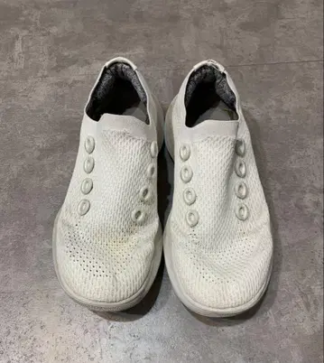 Allbirds 올버즈 화이트 스니커즈