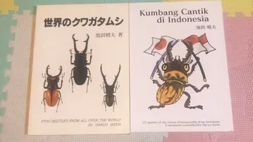 세계의 사슴벌레 Kumbang Indonesia 이케다 하루오 2권 세트