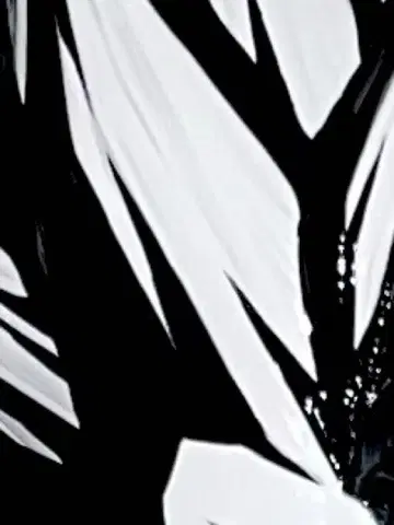 드래곤볼 오지터