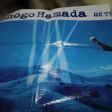 하마다 쇼고 야외 콘서트 굿즈