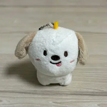 RIIZE 앤톤 몽룡이