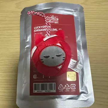 boynextdoor bbnexdo 테산 오너먼트